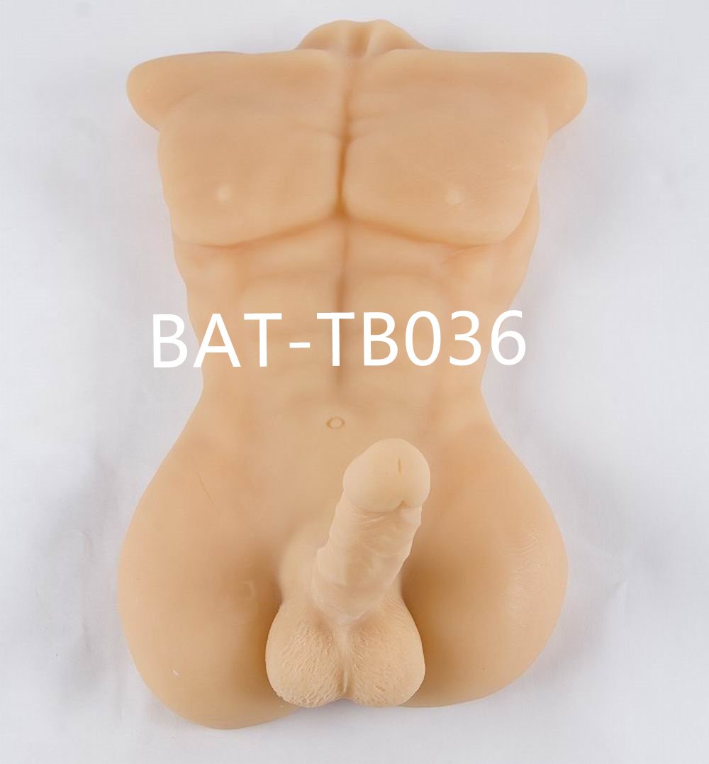 male manequin torso best price