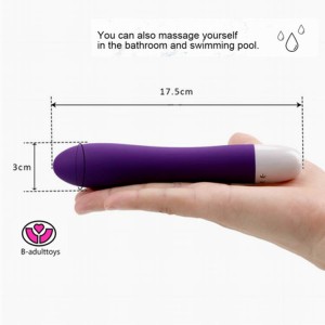 Most Powerful Vibrator For Women Best Manufacturer | B-adulttoys